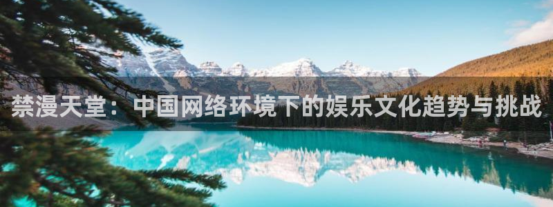 omofun在线观看免费动漫：禁漫天堂：中国网络环境下的娱乐文化趋势与挑战
