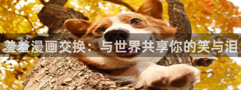 www.omofun.：羞羞漫画交换：与世界共享你的笑与泪