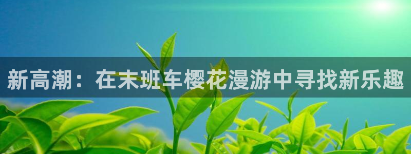 新版omofun下载：新高潮：在末班车樱花漫游中寻找新乐趣