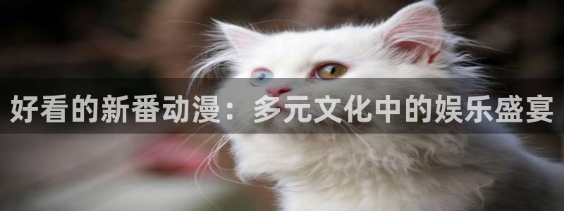 omofun?：好看的新番动漫：多元文化中的娱乐盛宴