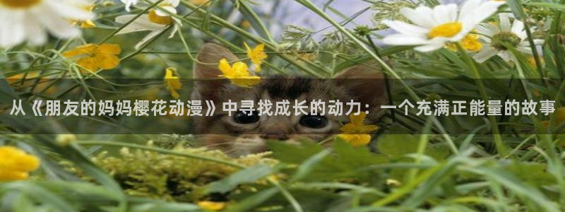 omofun网页版入口处