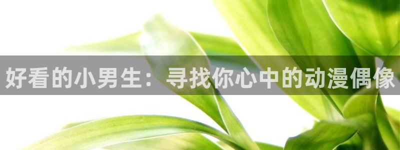omofun官方网页