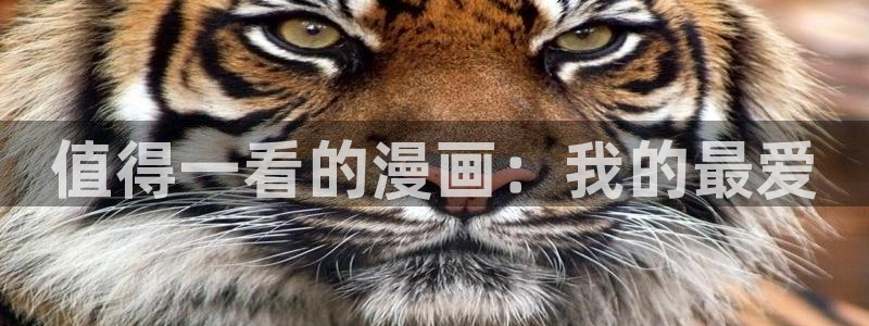 omofun动漫官方app下载