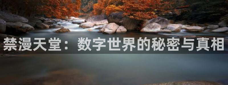 omofun网页入口版