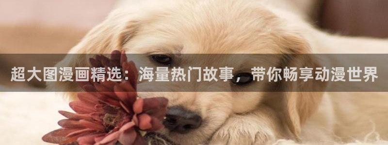omofun免费正版下载