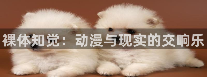 omofun纯净无广告版：裸体知觉：动漫与现实的交响乐