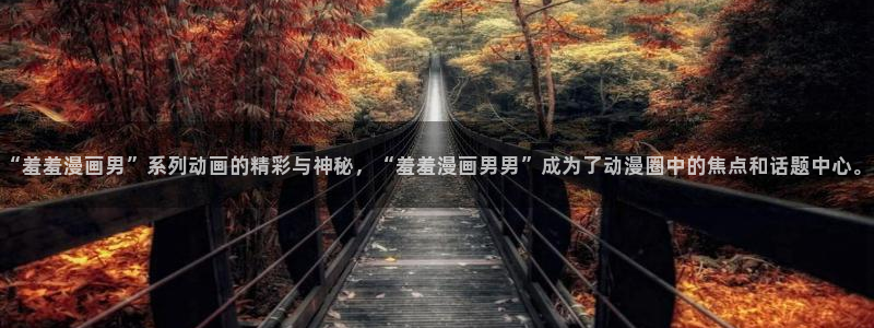 age动漫omofun：“羞羞漫画男”系列动画的精彩与神秘，“羞羞漫画男男”成为了动漫圈中的焦点和话题中心。