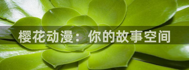 https://omofun：樱花动漫：你的故事空间